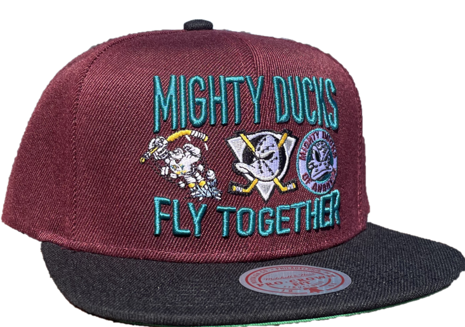 Mighty Ducks Fly Together Cap