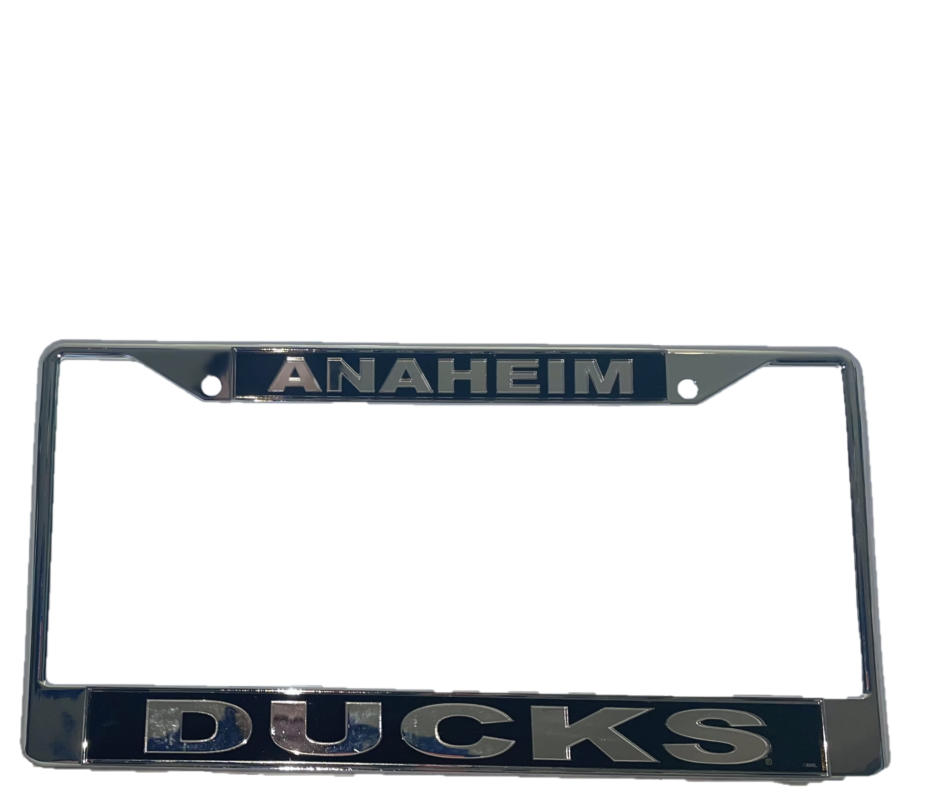 Anaheim Ducks L/P Frame