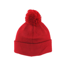 Load image into Gallery viewer, Ducks/Angels Logo Pom Beanie
