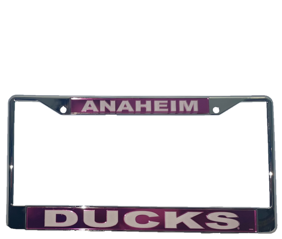 Anaheim Ducks L/P Frame
